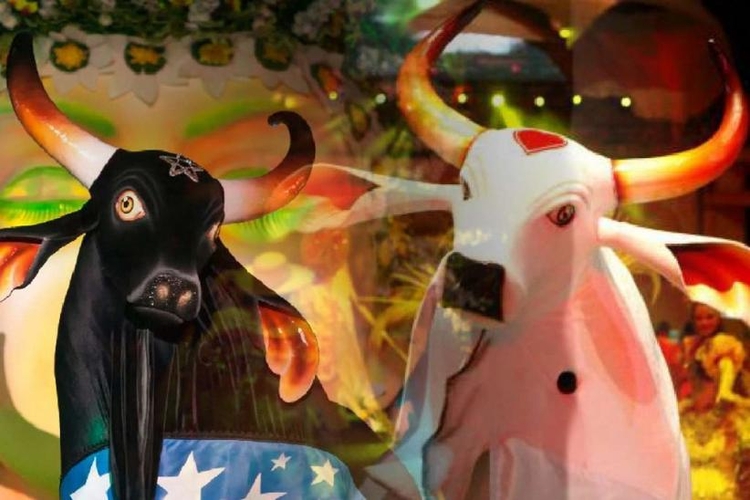 Divulgada ordem de apresentação dos bois Caprichoso e Garantido no 56º Festival de Parintins