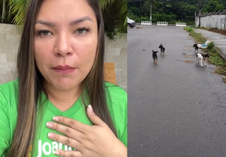 Filhotes de cachorro são abandonados por carro em Manaus e deputada denuncia; veja vídeo