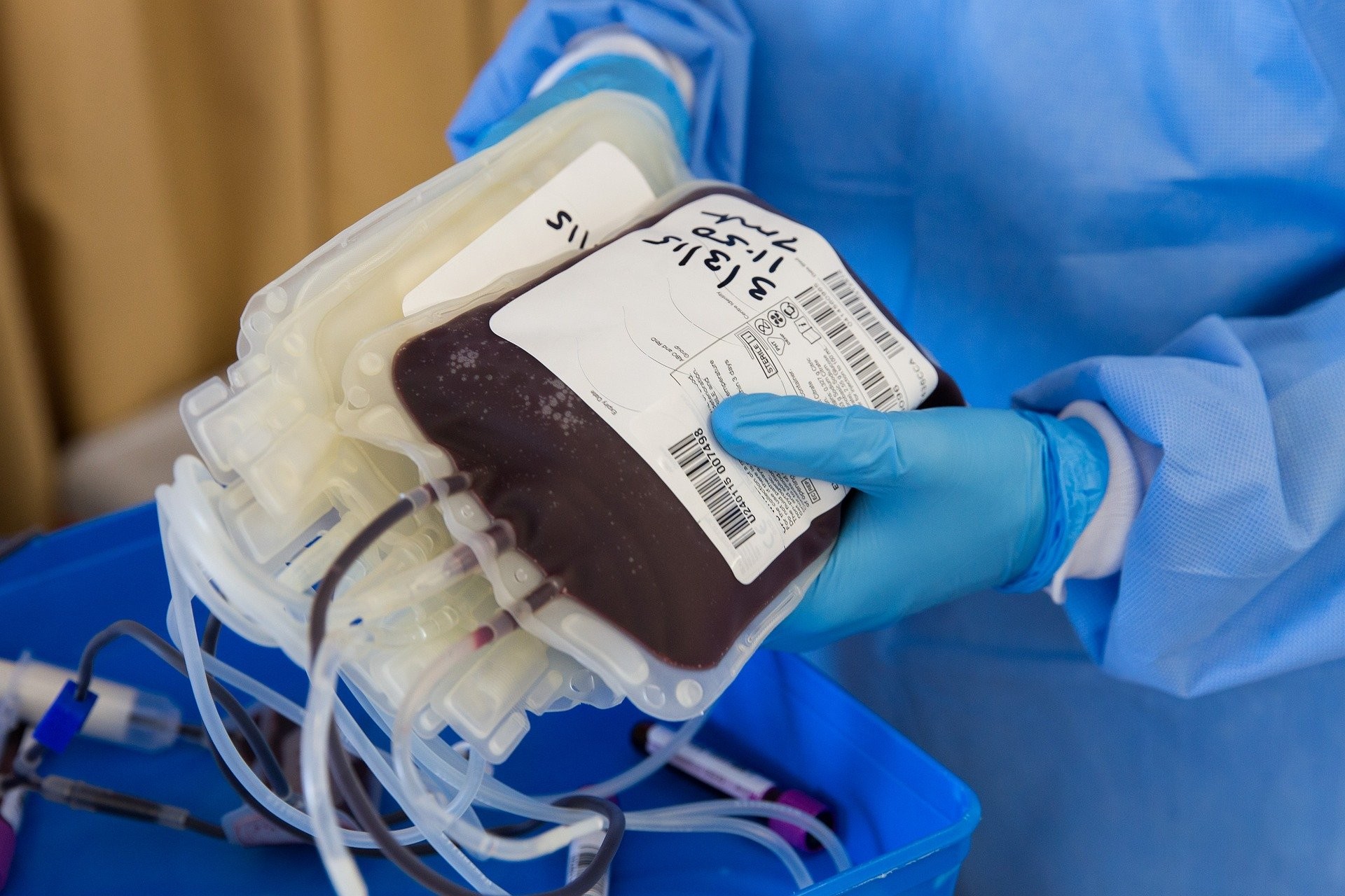 Transfusão de sangue para Testemunhas de Jeová é debatida no STF; religião não permite