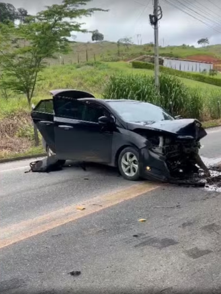 Enxame de abelhas invade veículo, motorista bate em árvore e passageiros pulam em rio