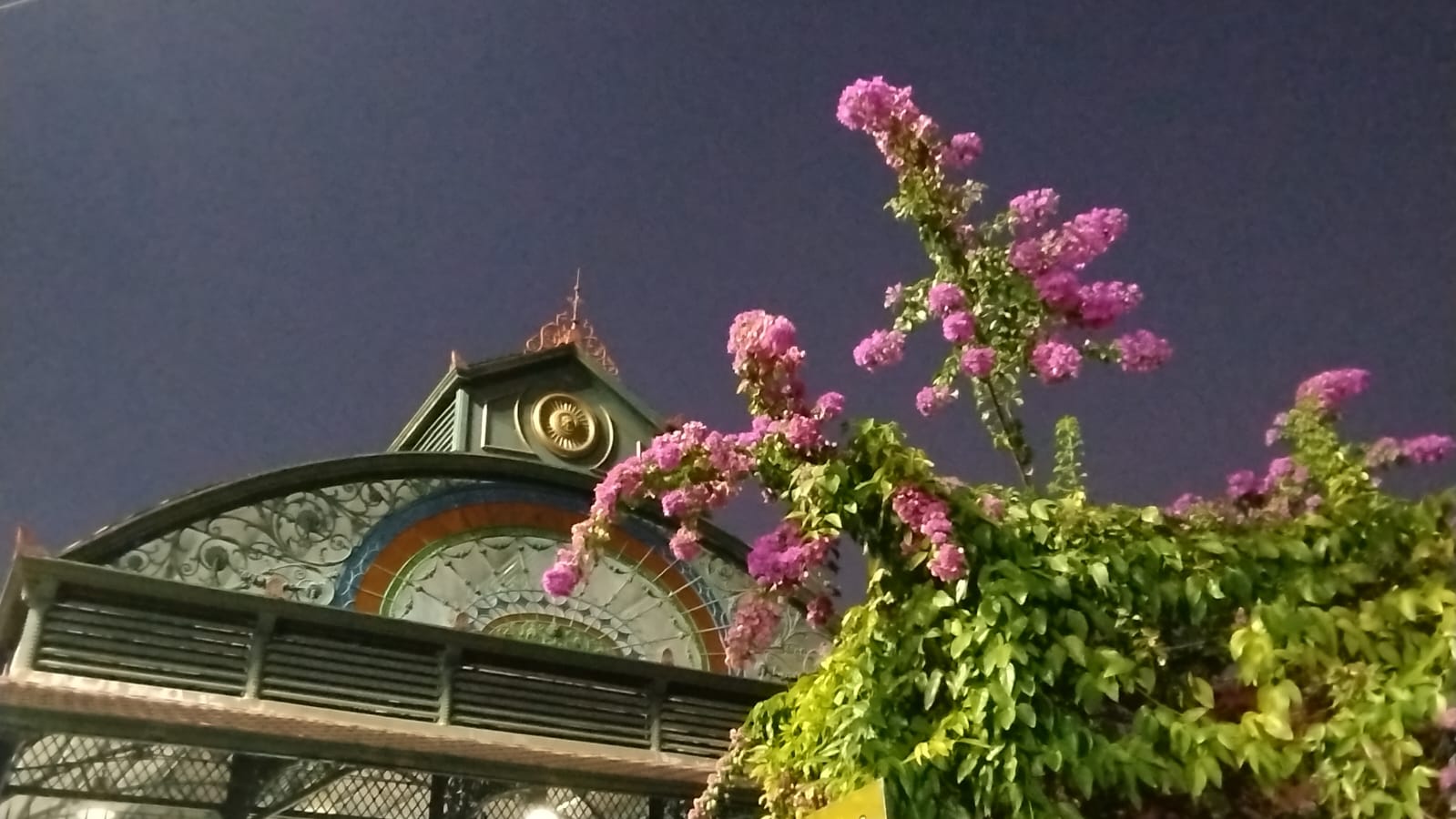 Nos 355 anos de Manaus, artista convida manauenses a olhar a cidade para conhecer e preservar