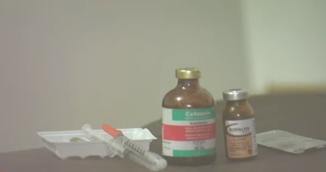 Drogas são apreendidas durante prisão da família de Djidja Cardoso em Manaus