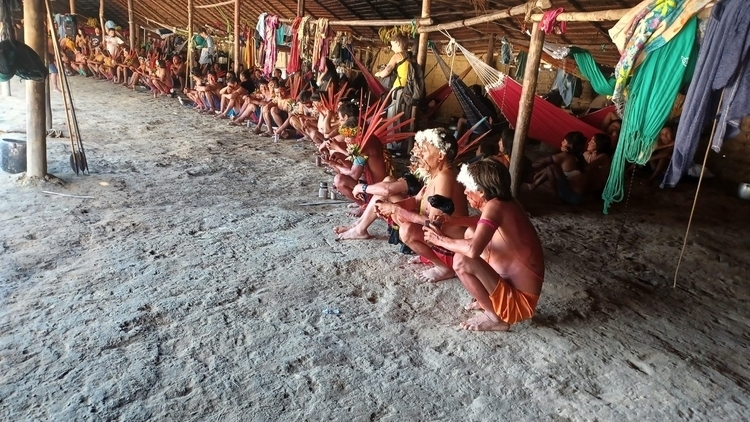 Terra Yanomami tem 74 mortes registradas no 1º trimestre de 2024