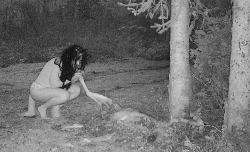 Câmeras flagram mulheres comendo carcaça de veado em suposto ritual satânico