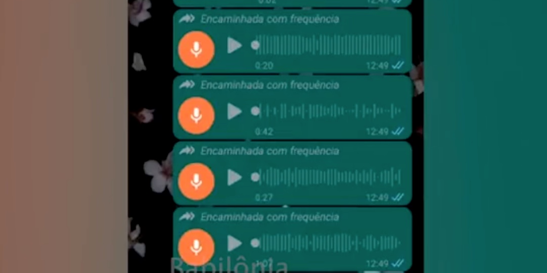 Servidora do MP e mais duas são indiciadas por xingarem nordestinos: 'Vivem feito cachorros'