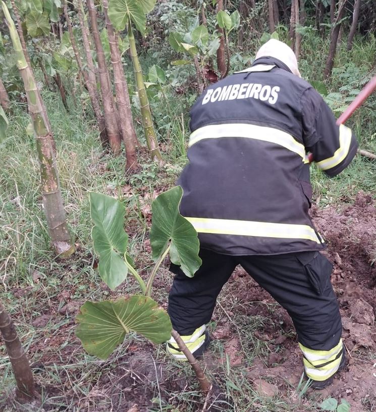 Jovem é esquartejado por adolescentes após cair em emboscada em Itacoatiara