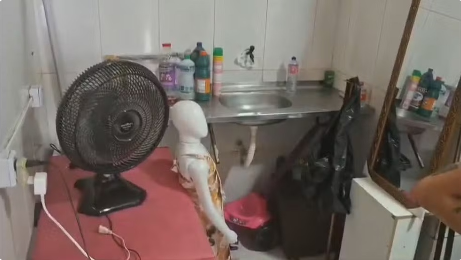 Falsa dentista é presa por procedimentos ilegais dentro de loja de roupas