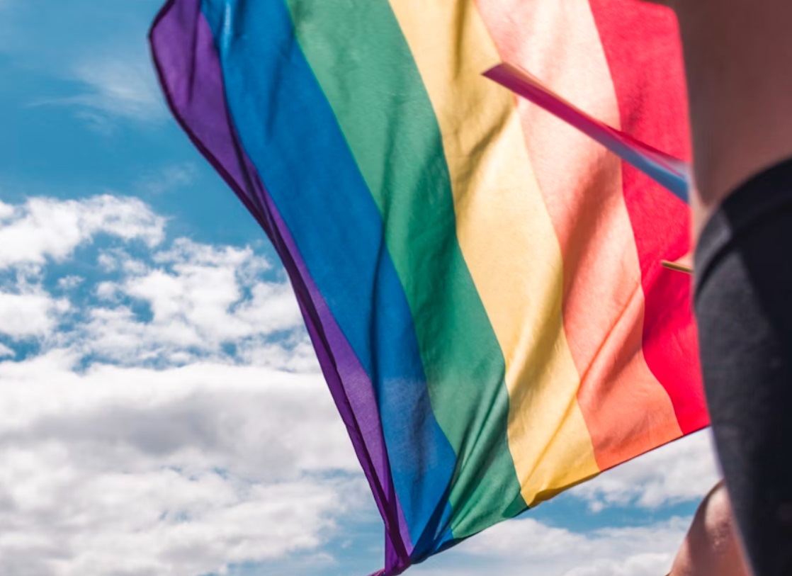 Aleam defende no STF lei que proíbe crianças nas paradas LGBT+