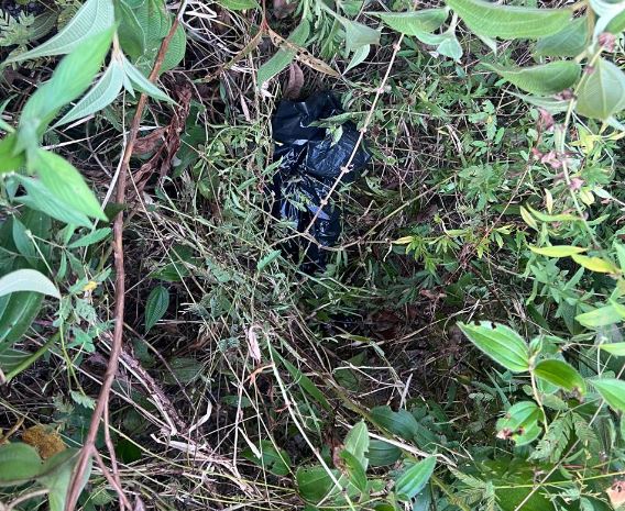 Possíveis membros de corpo jogado sem pernas em igarapé são encontrados no Tarumã