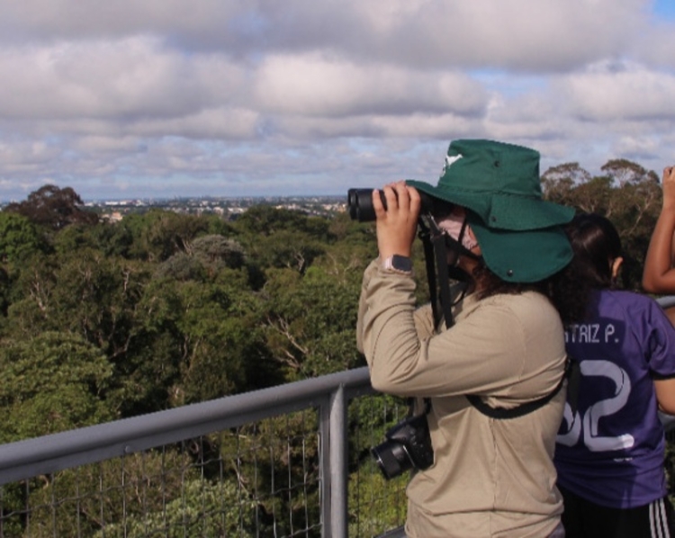 Musa faz promoção para visitas turísticas a R$ 10 em março