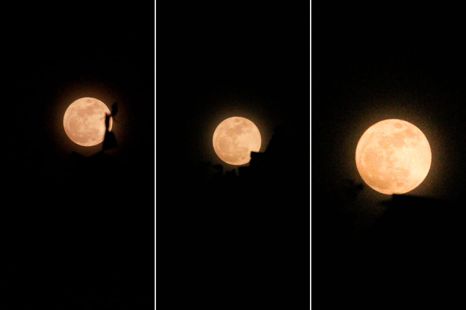 Em dia de ‘Superlua Azul’, poucos conseguem observar fenômeno em Manaus; veja fotos