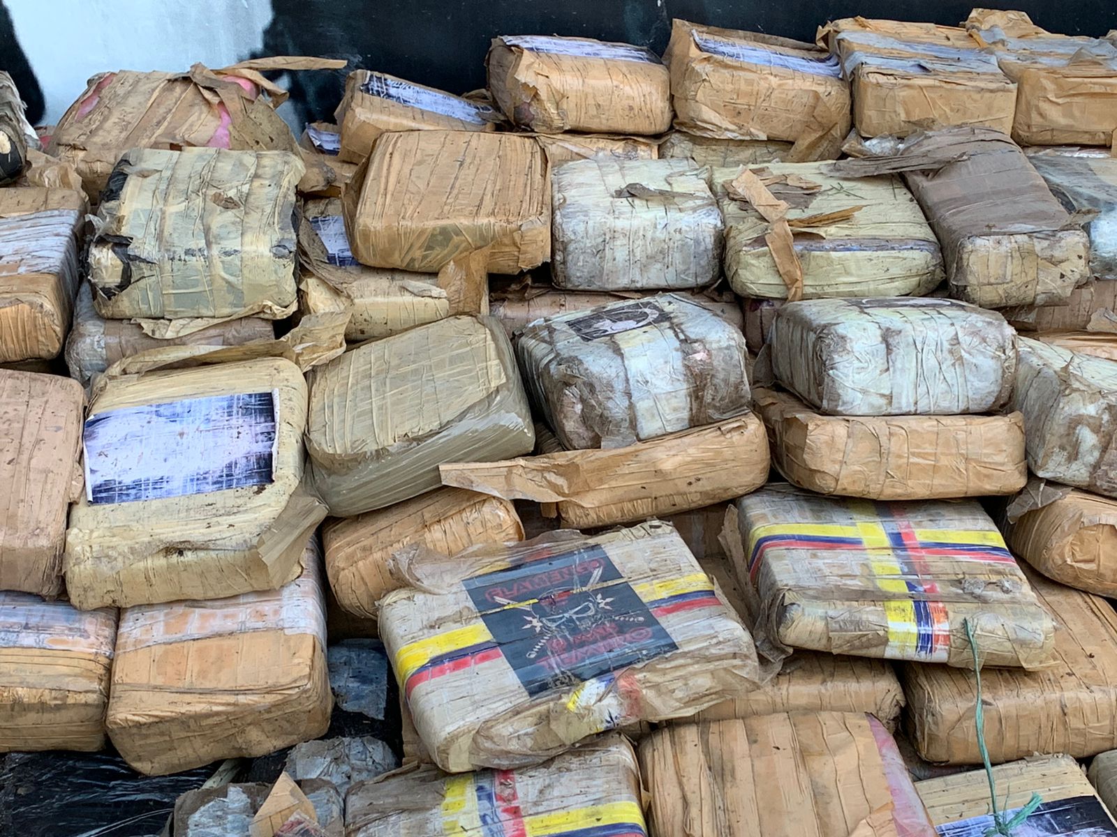 Carga de maconha avaliada em quase R$ 30 milhões é encontrada em matagal no Amazonas