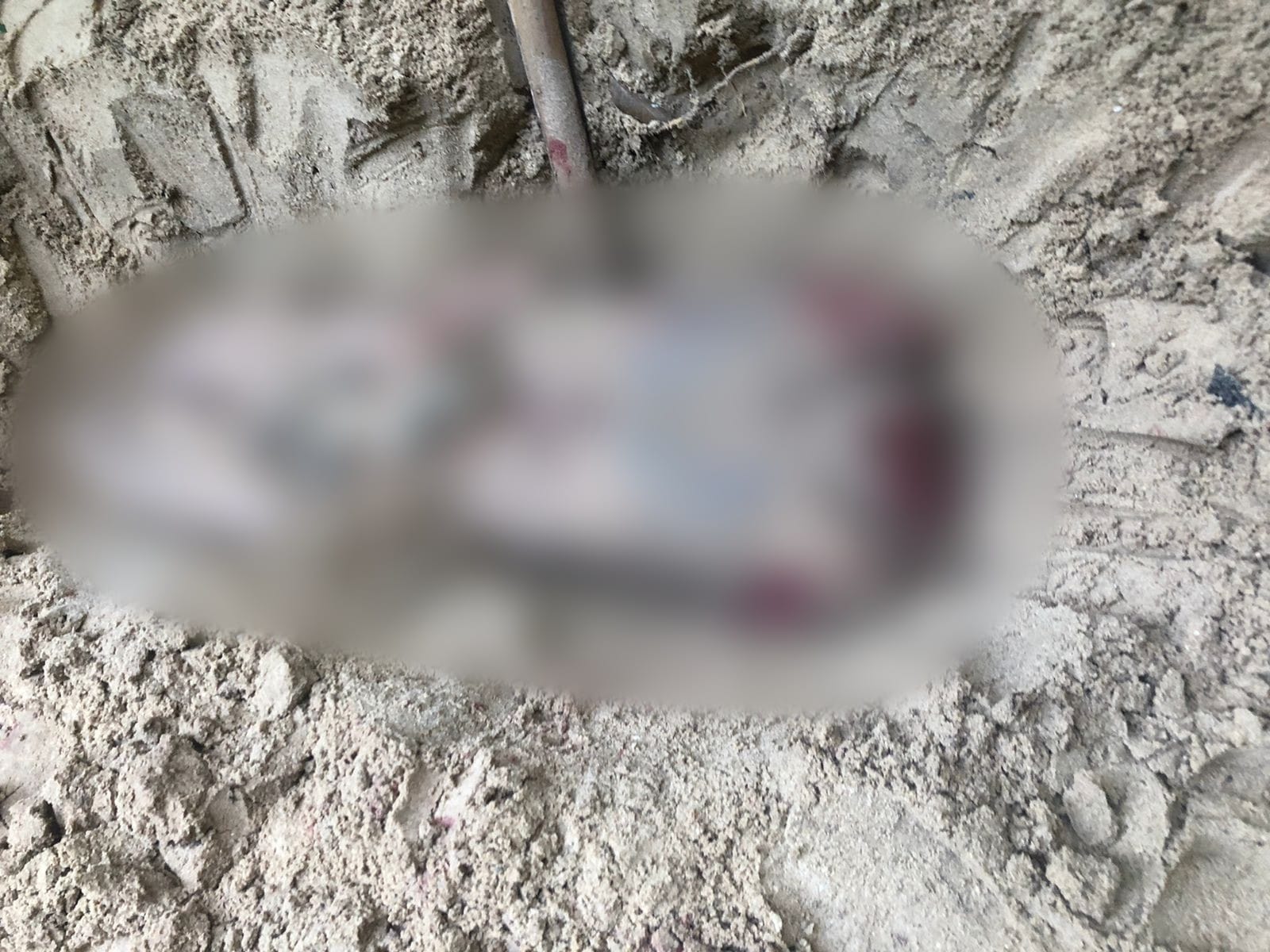 Vítimas esquartejadas são encontradas em covas no Amazonas 