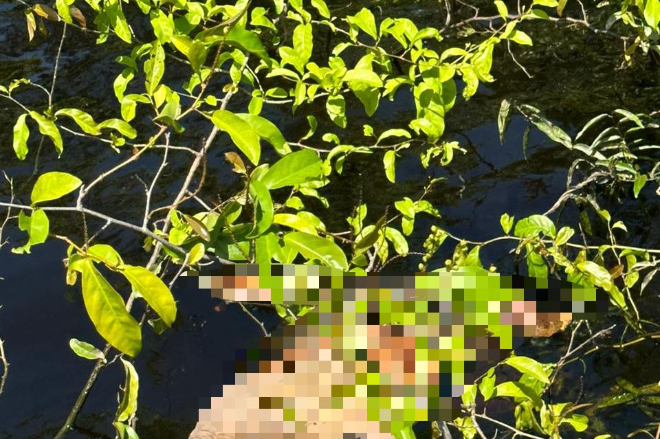 Após ser preso, homem confessa onde corpo de mulher desaparecida foi desovado em Manaus