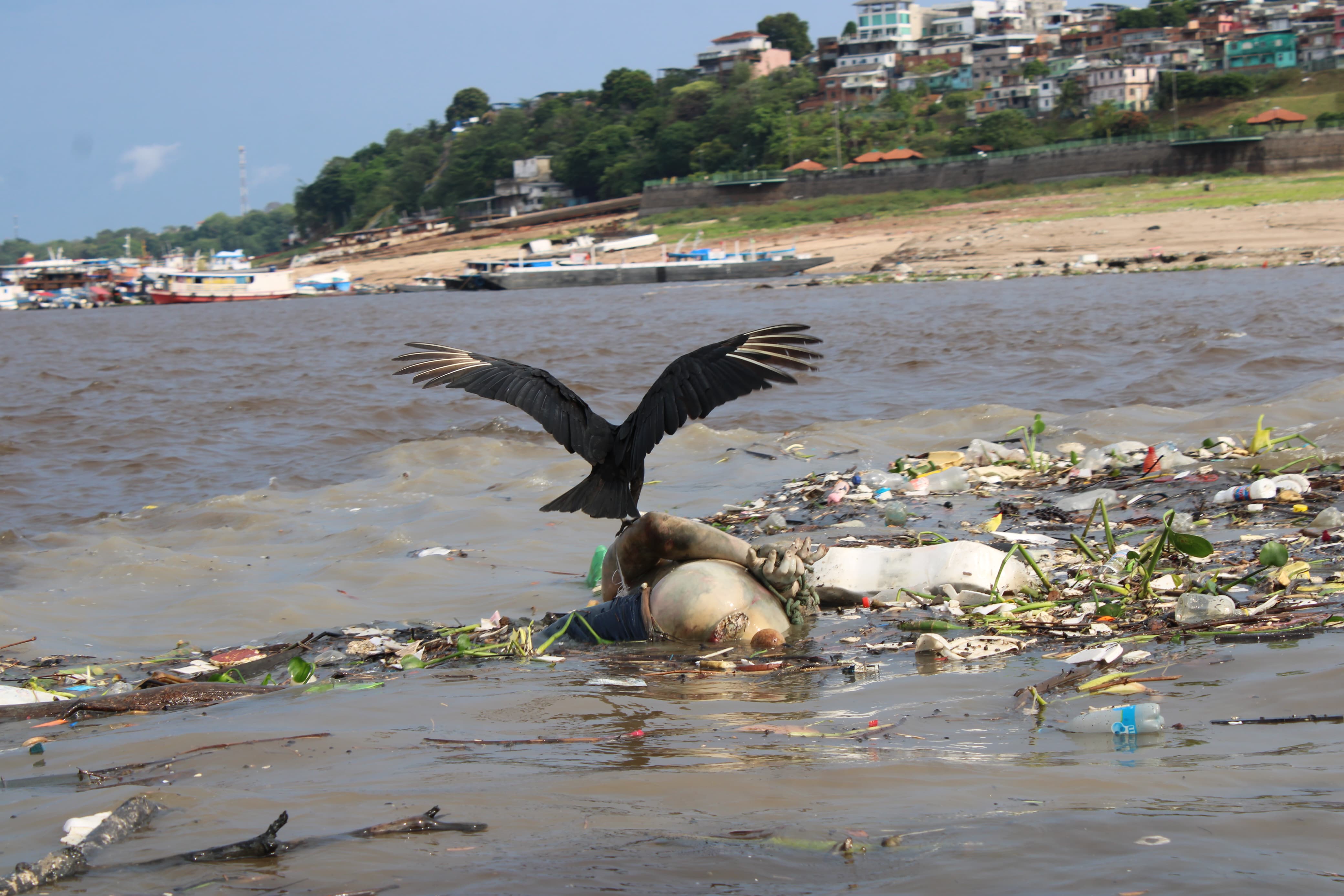 Fotógrafo flagra cadáver com mãos amarradas sendo devorado por urubu em Manaus