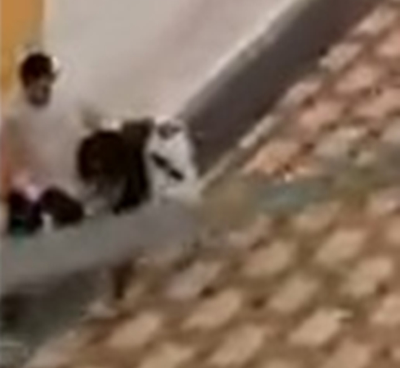 Assaltante do Manauara fez mulher de 'escudo humano', diz SSP