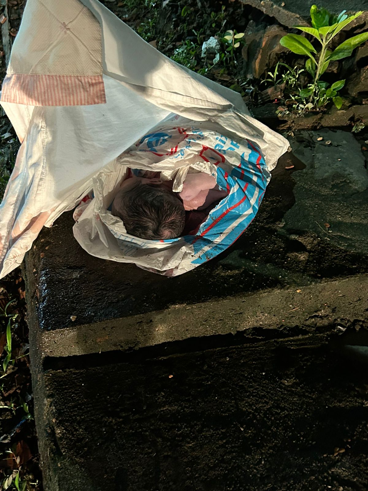 Recém-nascido é encontrado morto dentro de sacola em rua do Santa Inês