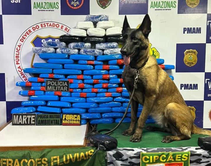 Polícia apreende mais de R$ 5 milhões em drogas dentro de barco no Amazonas