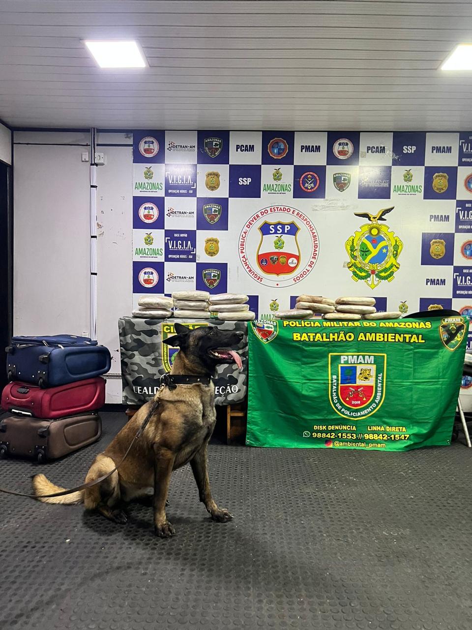 Passageiro de barco é preso com 17 kg de cocaína avaliados em R$ 1,2 milhão