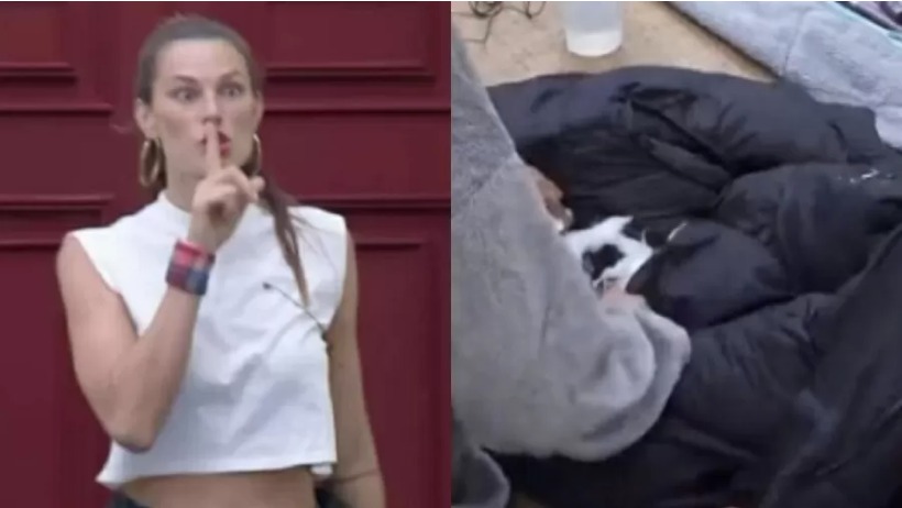 Jaqueta de Rico ganha perfil no Instagram com quase 250 mil seguidores após treta com Day