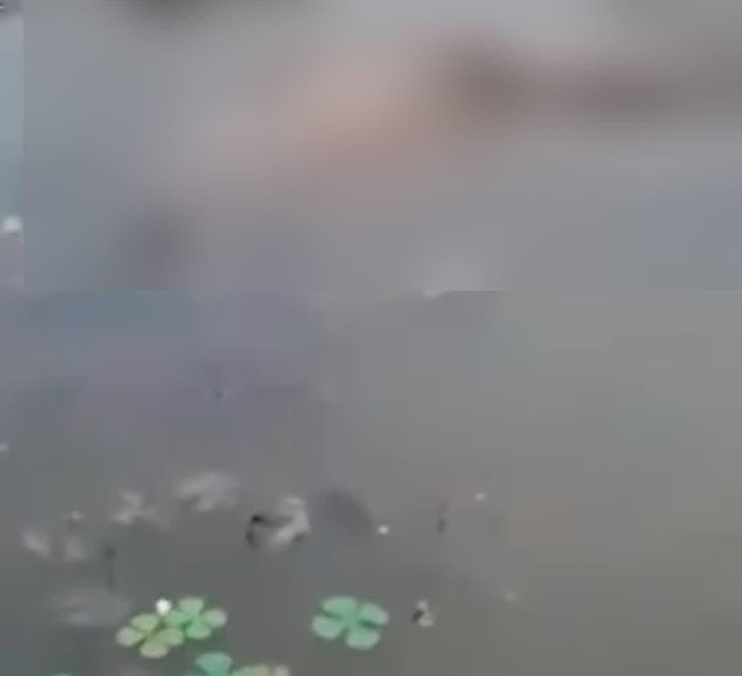 Mulher é assassinada e jogada em igarapé no Amazonas