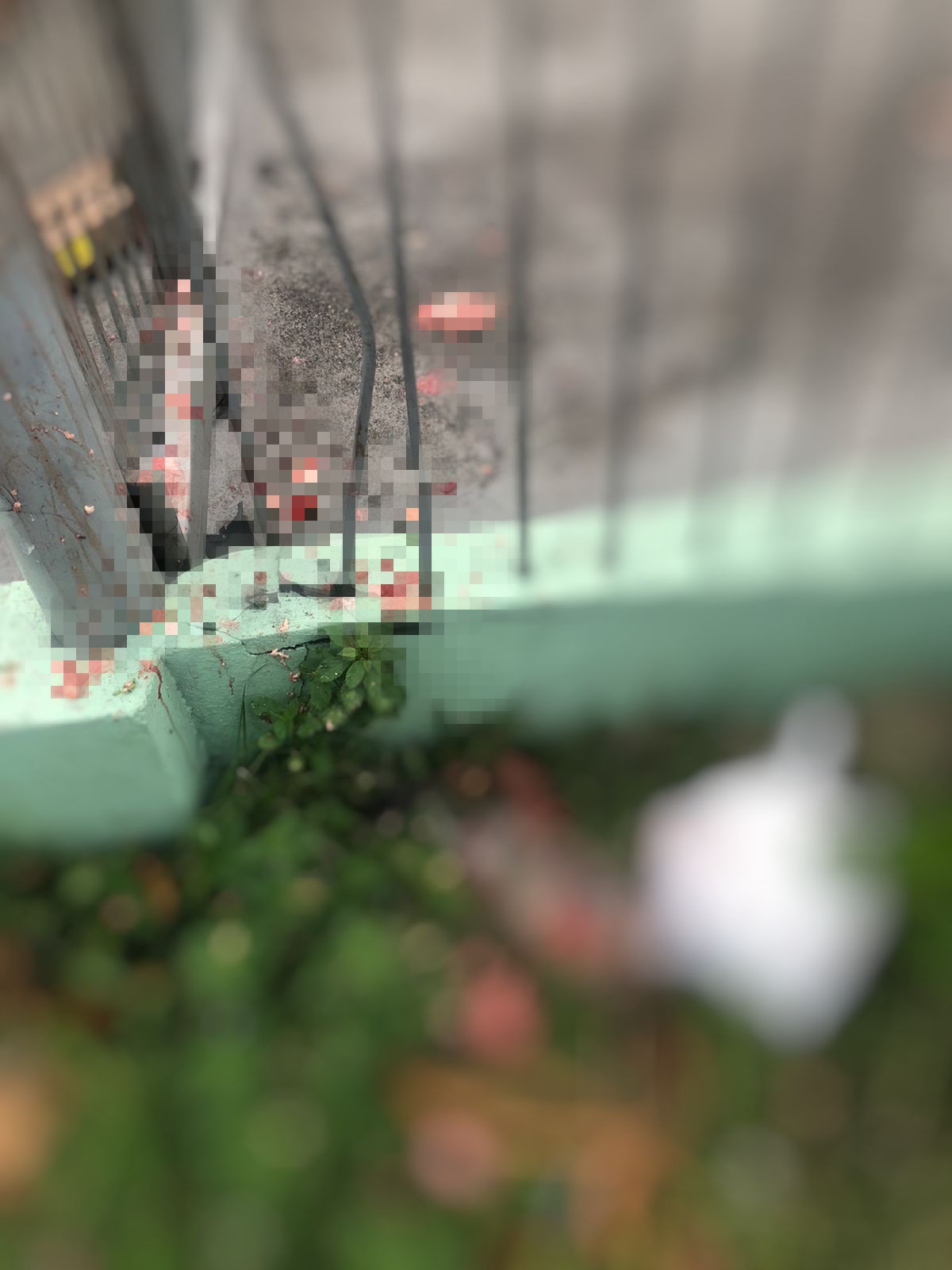 Mulher morta em acidente teve cabeça esmagada e mão dilacerada em Manaus