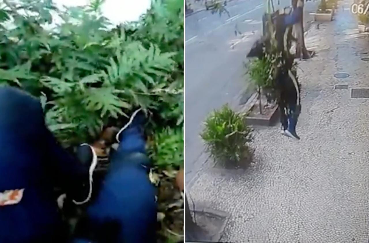 Vídeos mostram paraquedistas caindo após serem atingidos por rajadas de vento