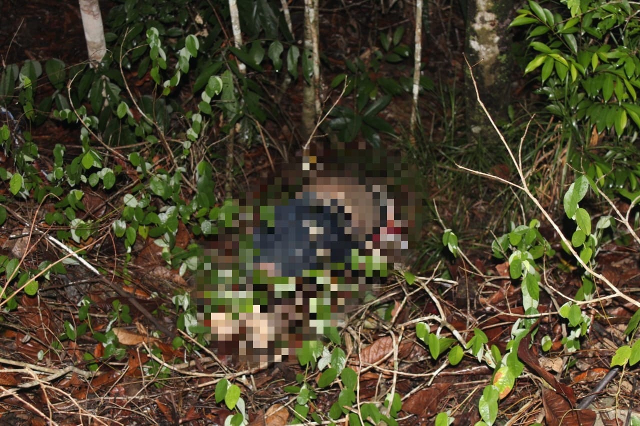 Funcionários de obra sentem mau cheiro e encontram corpo desovado em área de mata em Manaus