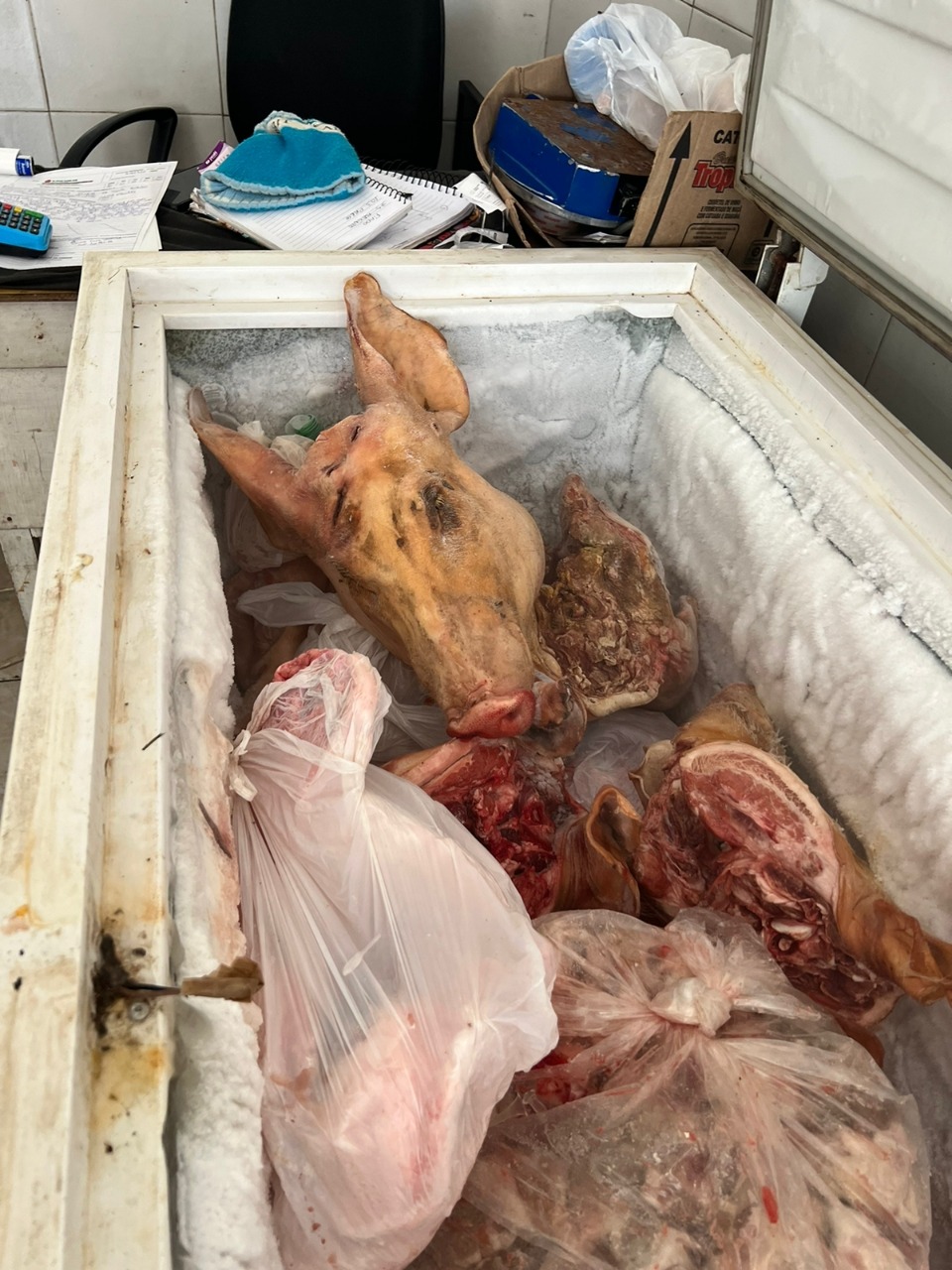 Açougue clandestino é desarticulado e 330kg de carnes em péssimas condições são apreendidos em Manaus