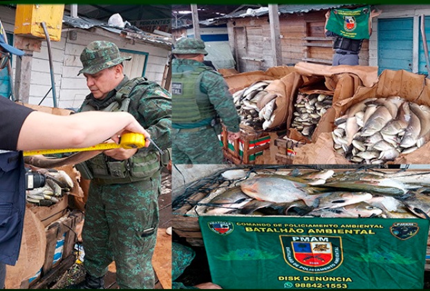 Polícia apreende mais de 1kg de peixes, em período de defeso, na Panair em Manaus