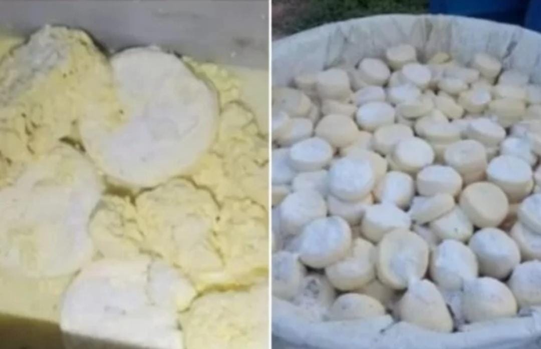 Onze toneladas de queijo que seria vendido com tapuru e fezes de ratos são apreendidas