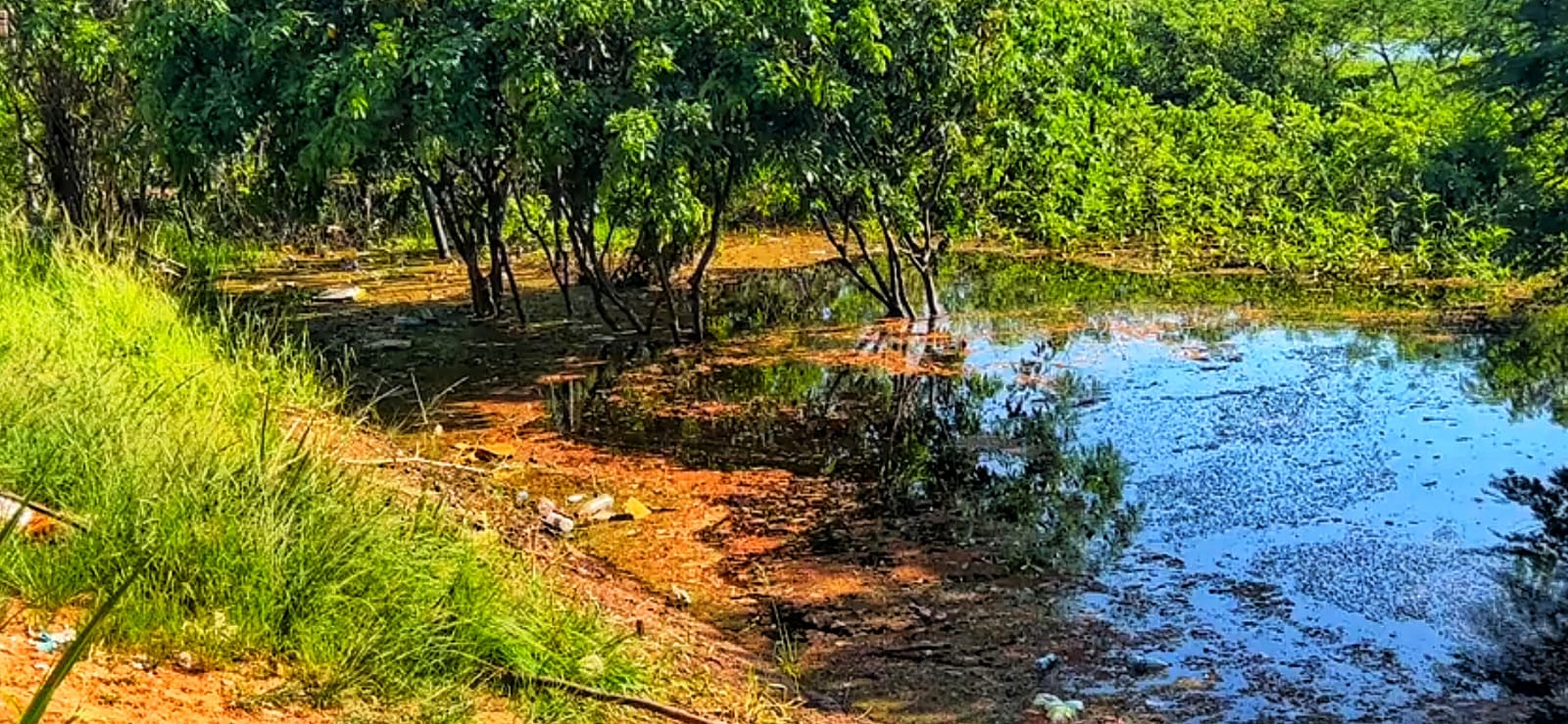 Populares encontram homem morto boiando perto da Ponte Rio Negro em Manaus