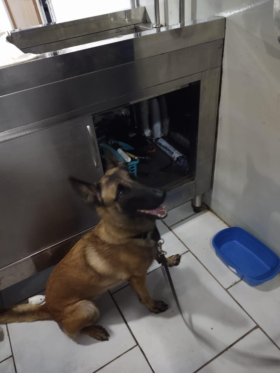 Drogas avaliadas em R$ 65 mil são encontradas em carro de buffet no Amazonas