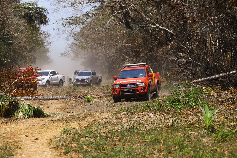 Quase 2 mil incêndios foram combatidos em 3 meses no Amazonas