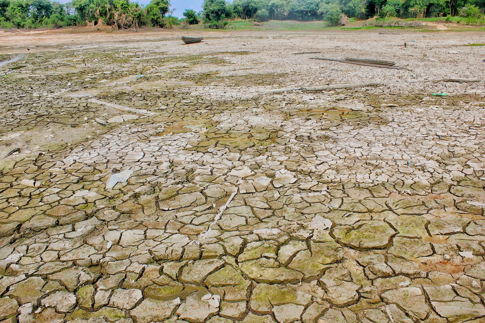 Descida do Rio e queimadas; veja boletim da estiagem no Amazonas