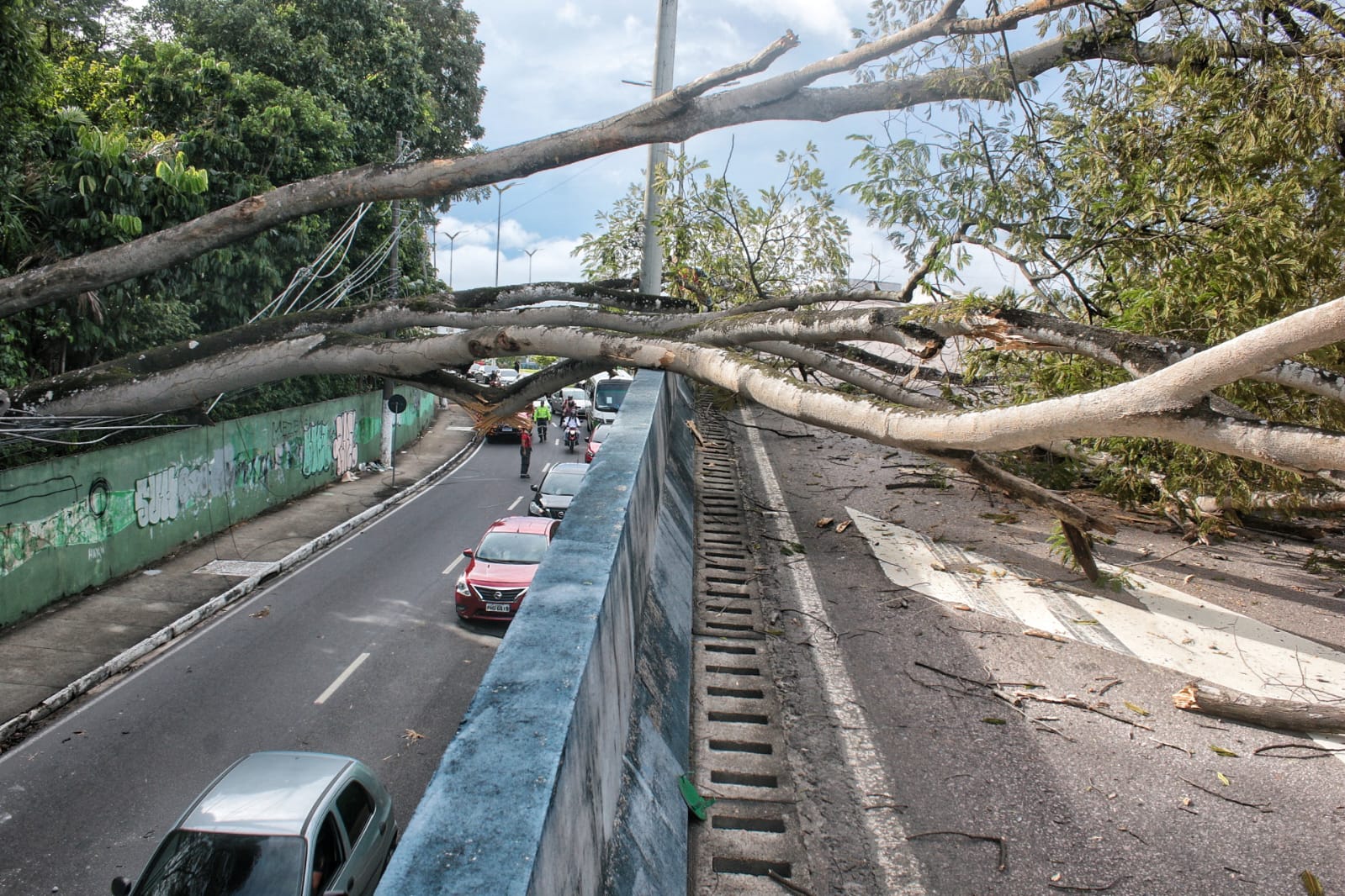 Árvore tomba sobre carro e bloqueia viaduto em Manaus