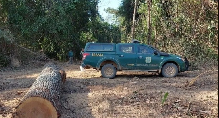 Ibama desarticula fraude de madeireiros na Amazônia e aplica multas milionárias