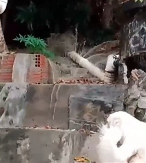 Esgoto invade casa e adoece família na Zona Norte de Manaus