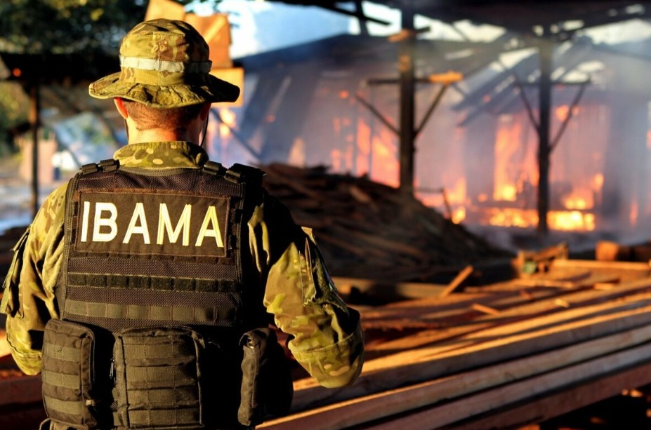 Ibama planeja concurso público para reforçar combate ao desmatamento no Amazonas