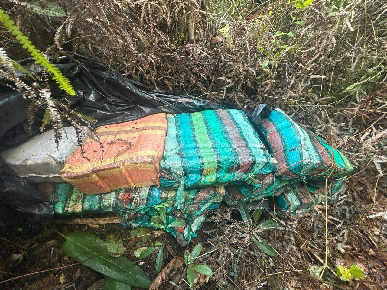 Carga de R$ 17 milhões em maconha é aprendida em sítio no Amazonas 