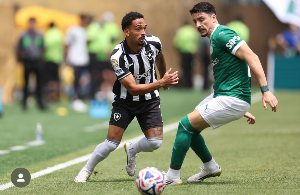 Palmeiras tem gol anulado contra Botafogo no início do 2º tempo