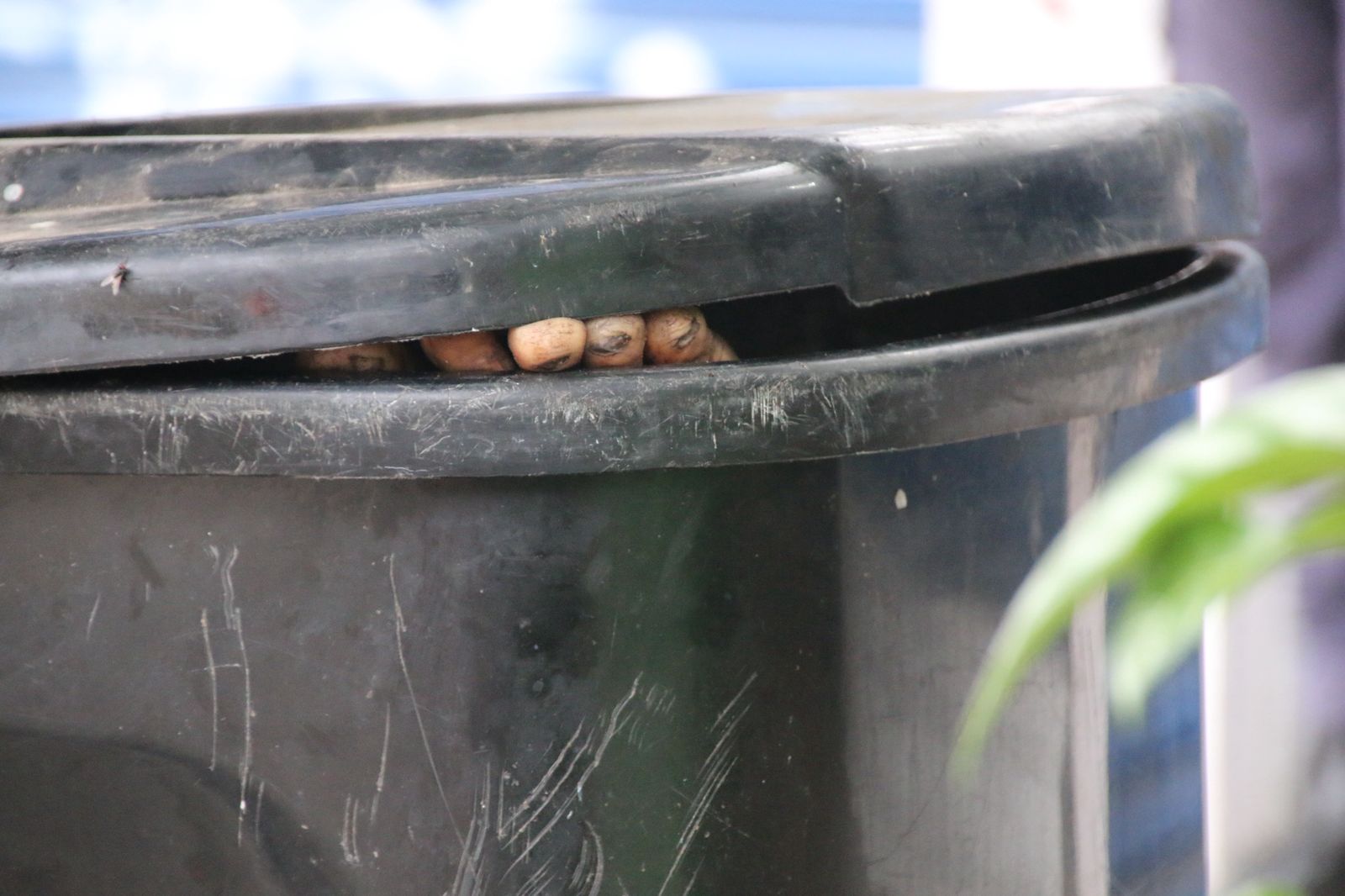 Polícia investiga se corpo achado em lixeira no Centro foi jogado por grupo em carro