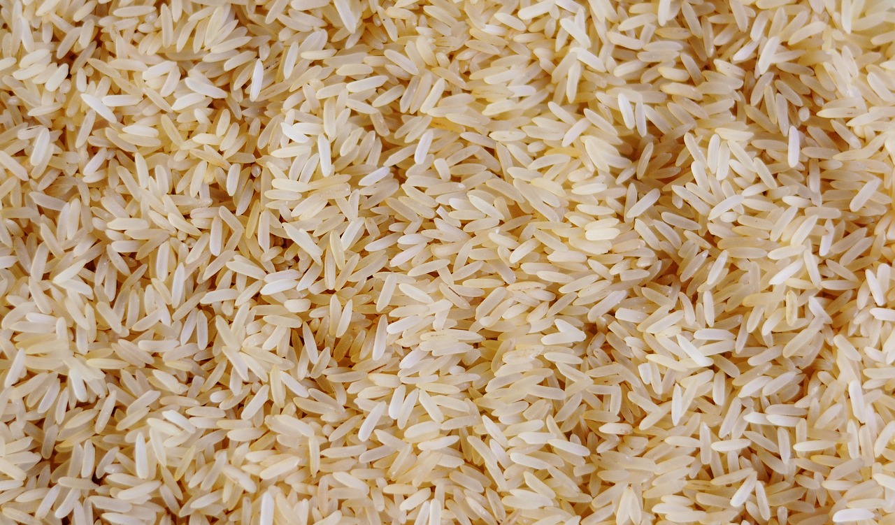 Arroz se torna cada vez mais tóxico com mudanças climáticas; veja dicas para amenizar