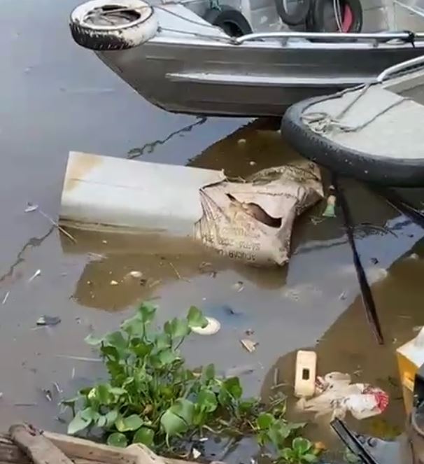 Corpo esquartejado é achado boiando em rio na Feira Manaus Moderna 