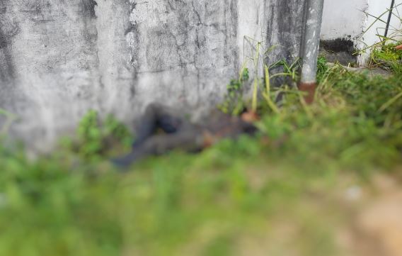 Homem é eletrocutado ao tentar roubar cabos de energia; veja como ele ficou