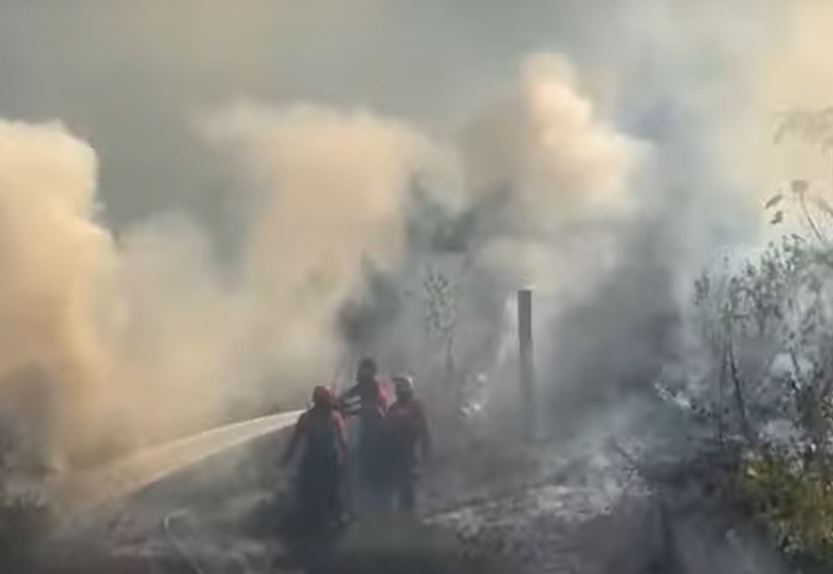 Incêndios disparam no Amazonas e cidade fica envolta em nuvem de fumaça