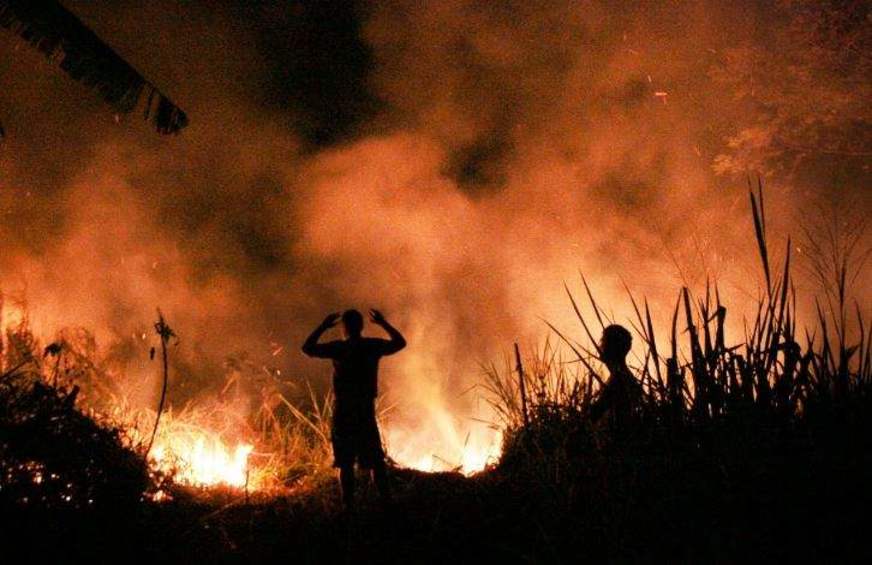 Amazonas recebe R$ 11,5 milhões de banco alemão para combate às queimadas