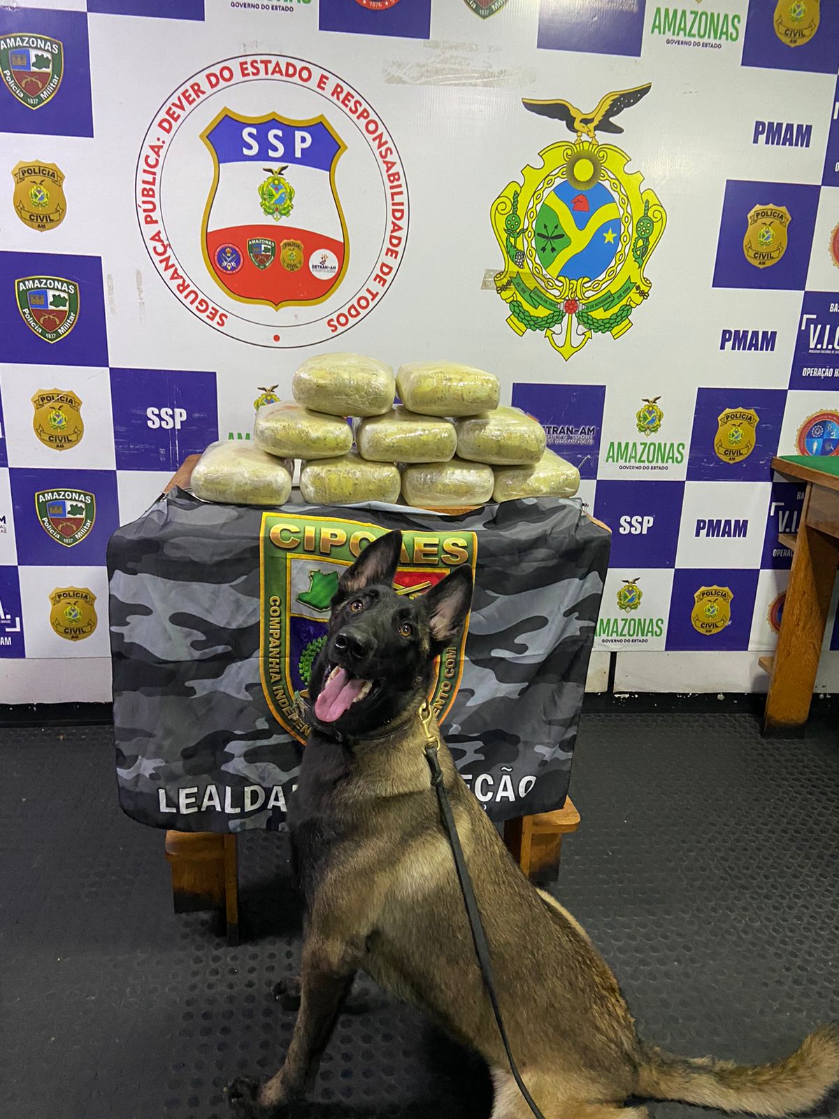 Maconha avaliada em R$ 260 mil é apreendida em embarcação em Coari