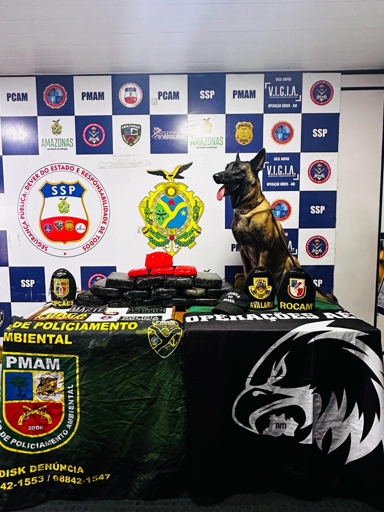 Esteira ‘recheada’ de drogas avaliadas em R$ 1,5 milhão é apreendida em barco no Amazonas