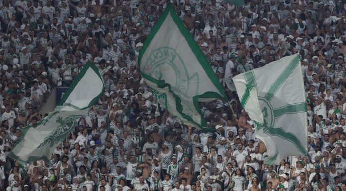 Organizada do Palmeiras é liberada para jogo contra o Botafogo pela Libertadores